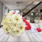 Heartwarming Wishes