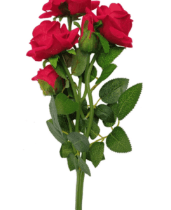 4 Red Roses